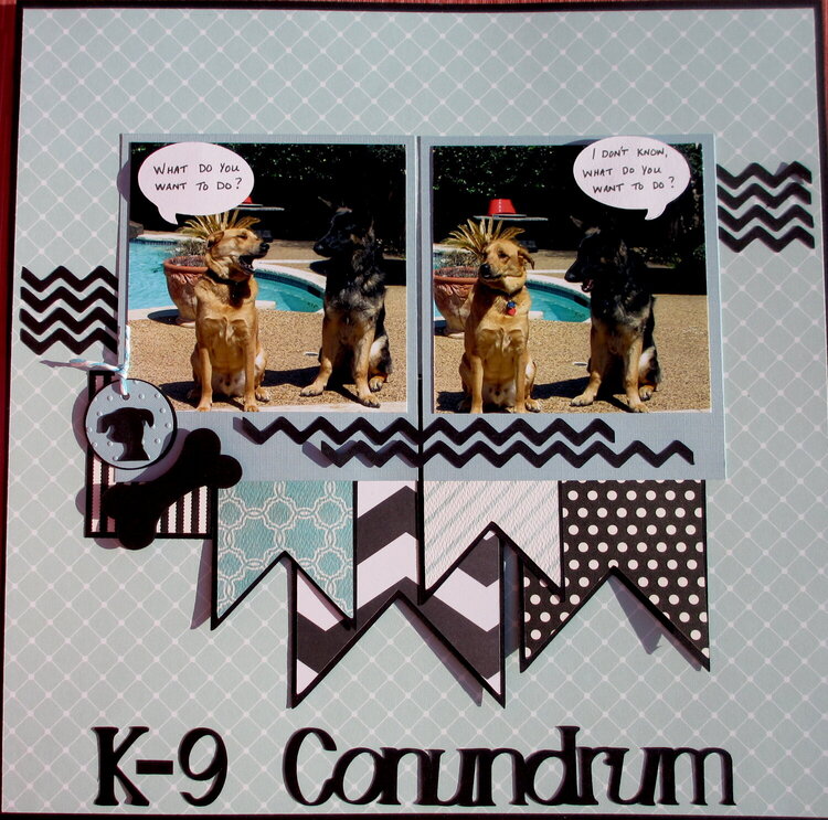 K-9 Conundrum