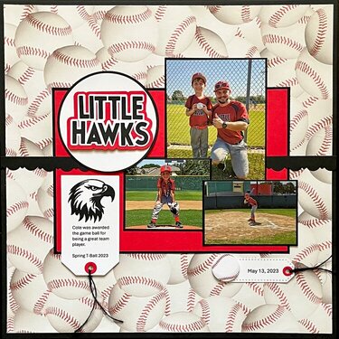 Little Hawks