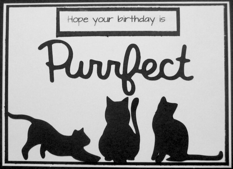 Hope your Birthday is Purrfect