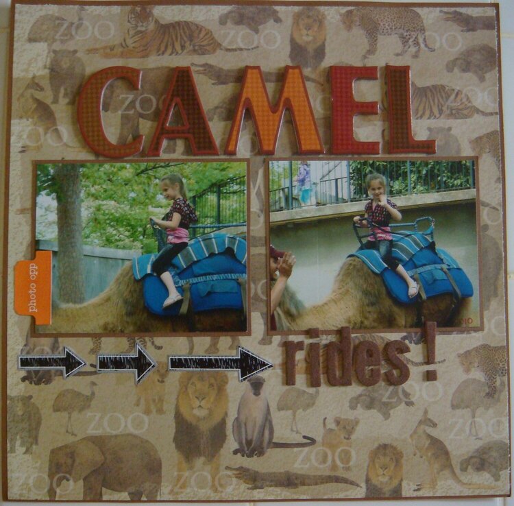camel rides