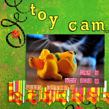 Toy Cam *Rose Moka*