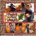 Finding the Perfect Pumpkins