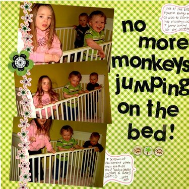 no more monkeys...