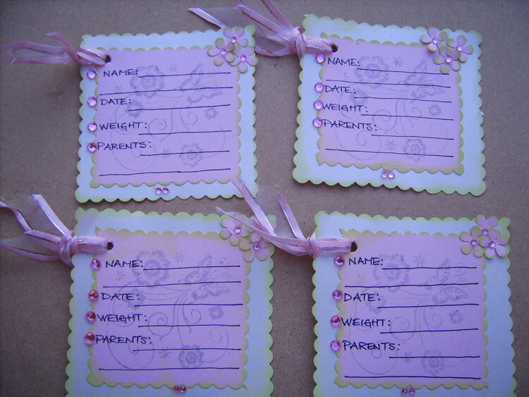 Baby Girl Announcement Cardholder Set-cards