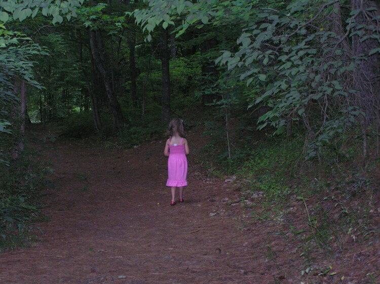 A fork in the road