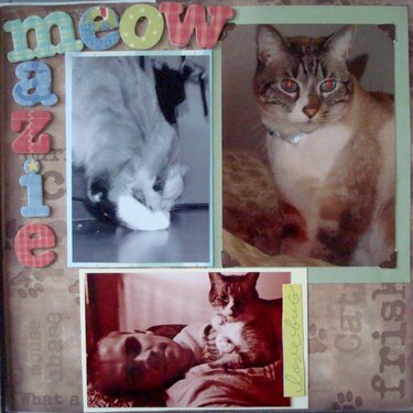 Meow Mazie