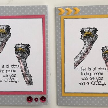Ostrich cards