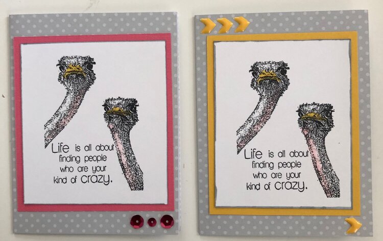 Ostrich cards