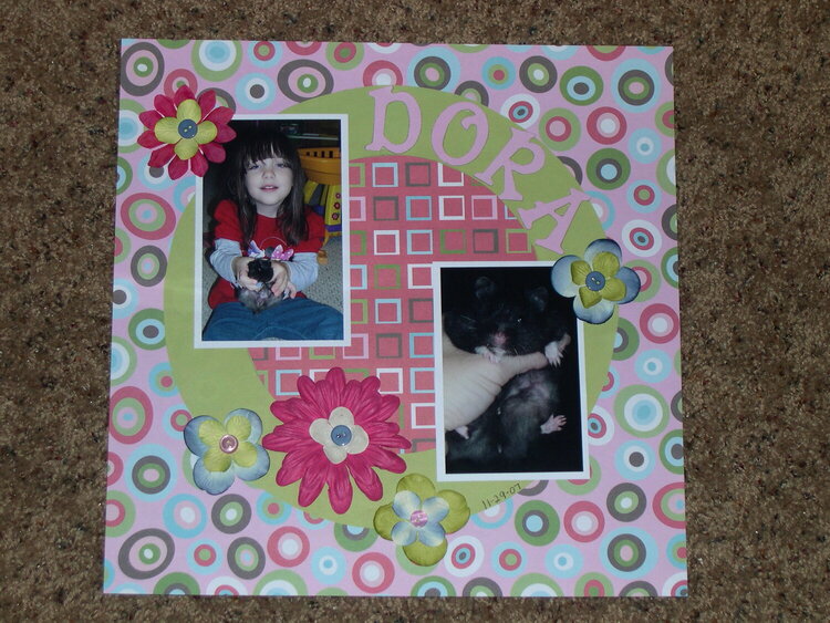 Dora- Maddie&#039;s hamster