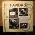 Pandas
