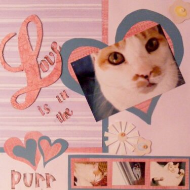 Love is in the purr
