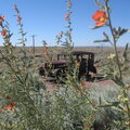 POD 08/16/08 Painted Desert.