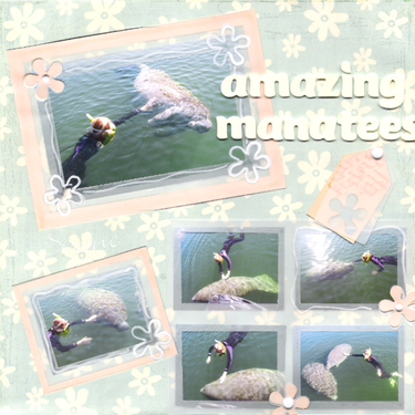 amazing manatees pg1