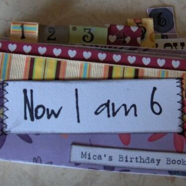 Now I am 6 (Mica's birthday mini-album)