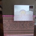 Acrylic window Baby Cards (Clear Scraps)