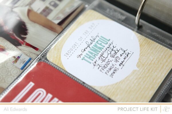 PL2013 | WK03 (Studio Calico Project Life Kit)