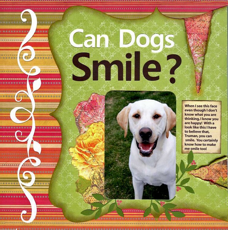 Can Dogs Smile?