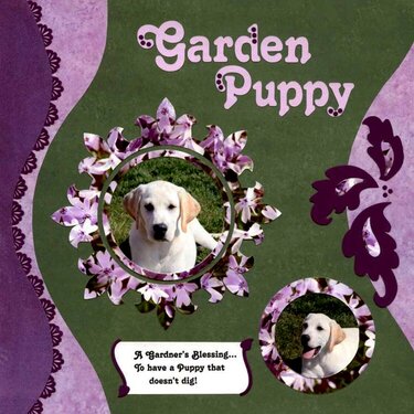 Garden Puppy