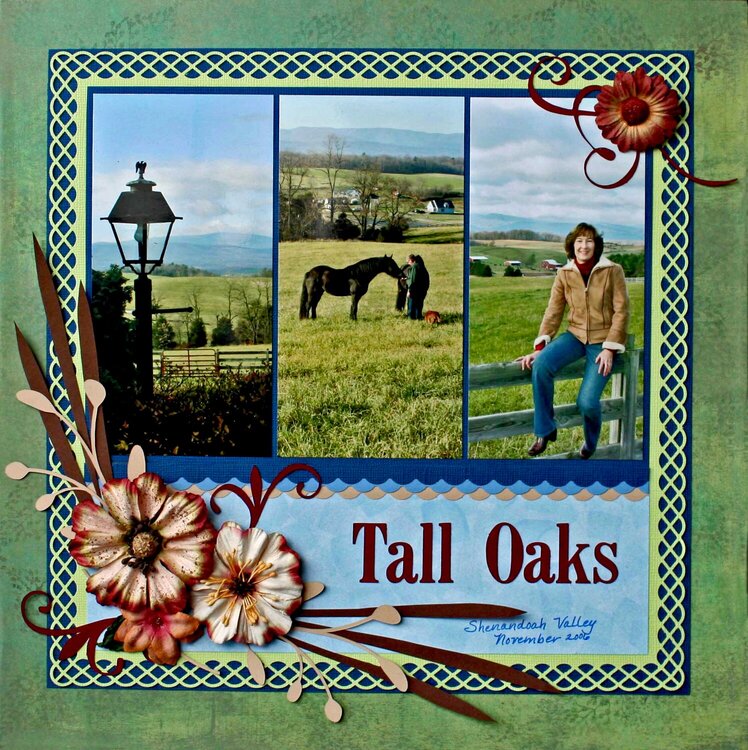 Tall Oaks