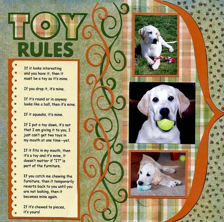 Toy Rules