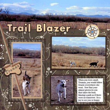 Trail Blazer