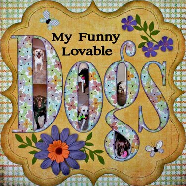 My funny lovable Dogs