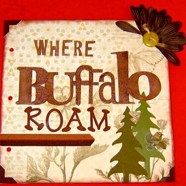 Where Buffalo Roam