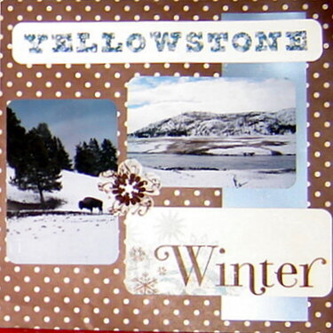 Yellowstone -- Winter