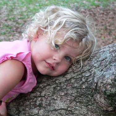 Savannah on the tree