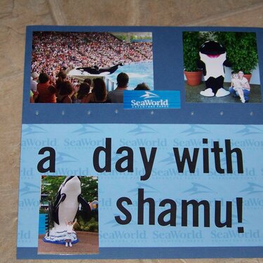 A day with Shamu