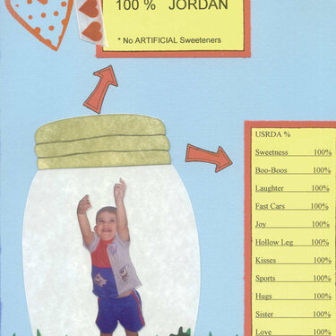 100% Jordan- L side