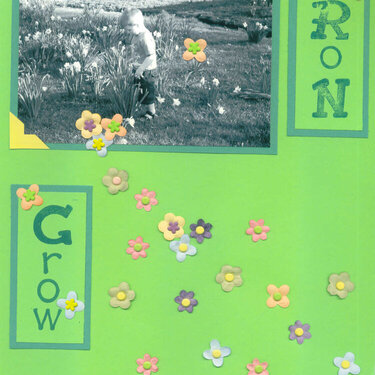 Garden Grow- R side