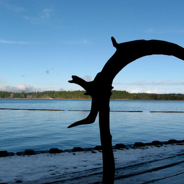 Comox Lake