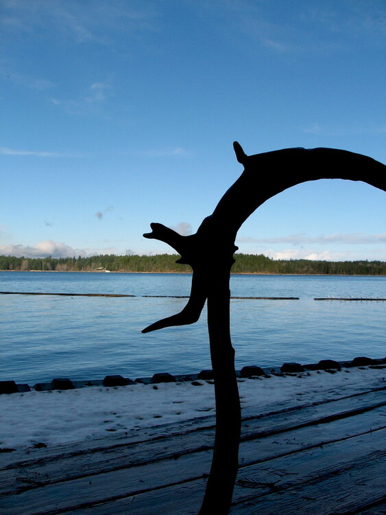 Comox Lake