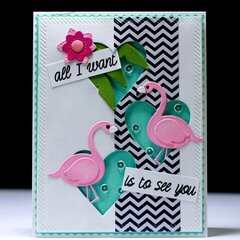 All I want is to see you flamingos