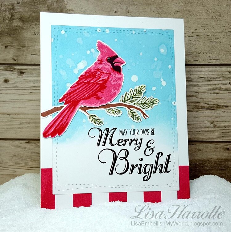 Merry &amp; Bright Cardinal