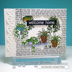 Welcome Home Window Plants