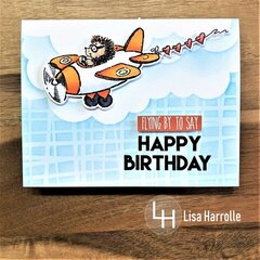 Flying by to say Happy Birthday