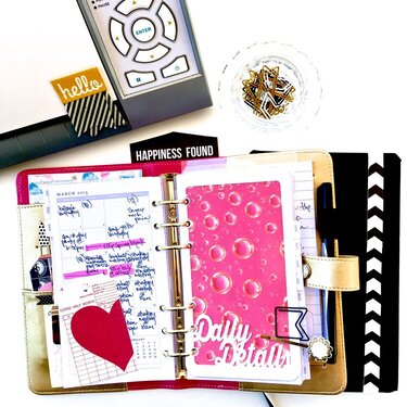 Color Crush Planner Daily Details