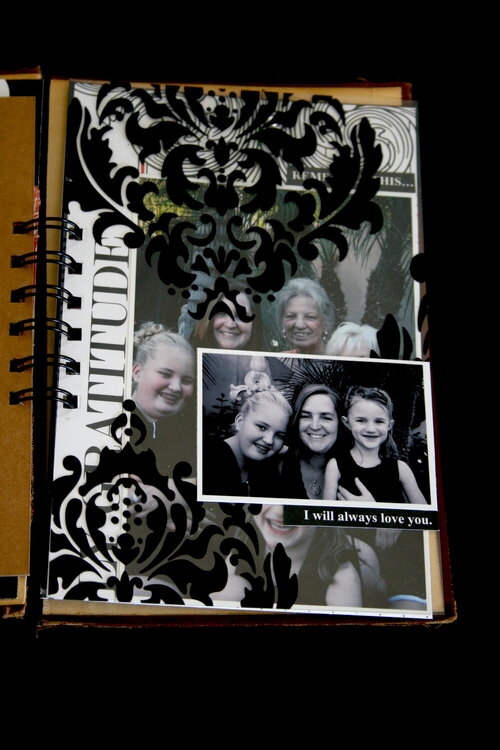 Family Minibook Transparent Damask Page - Teresa Collins New Family Matters Collection