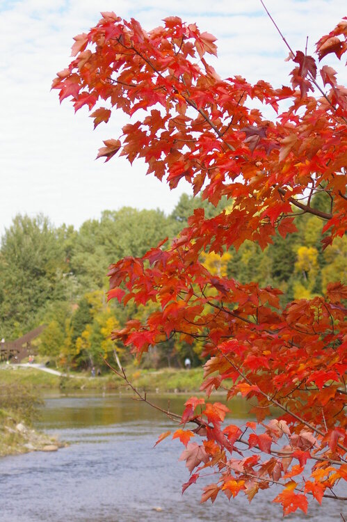 Margaret Bowater Park today Oct 1 st