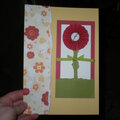flower notebook 2