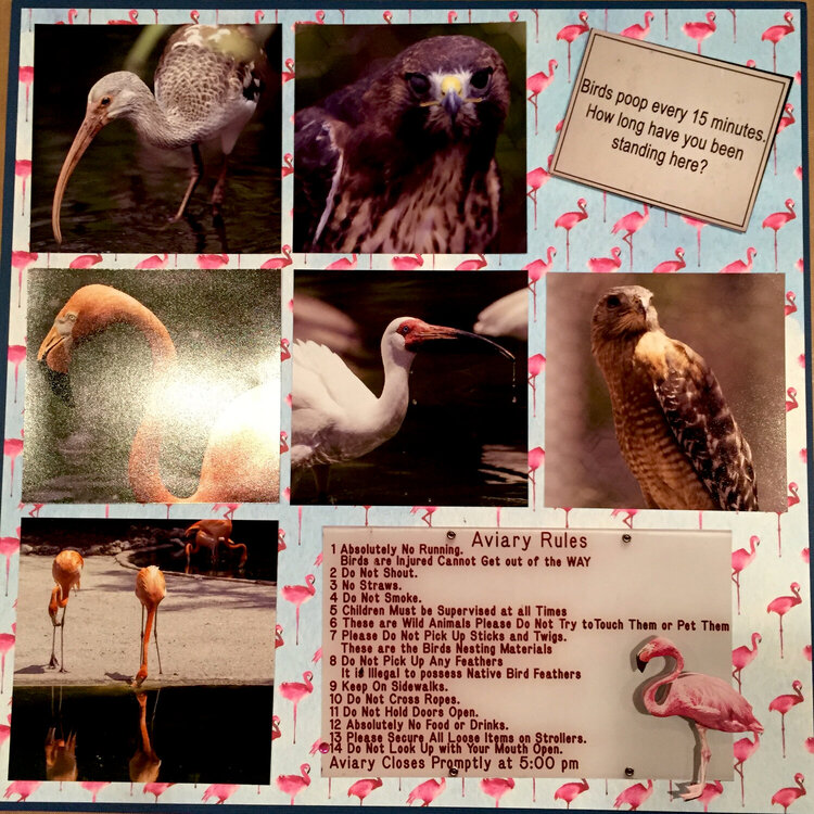 Flamingo Gardens Page 2