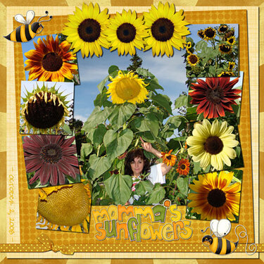 Momma&#039;s Sunflowers