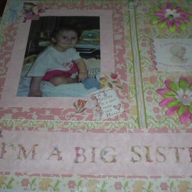 I&#039;m a Big Sister