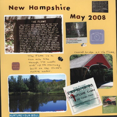 New Hampshire May 2008
