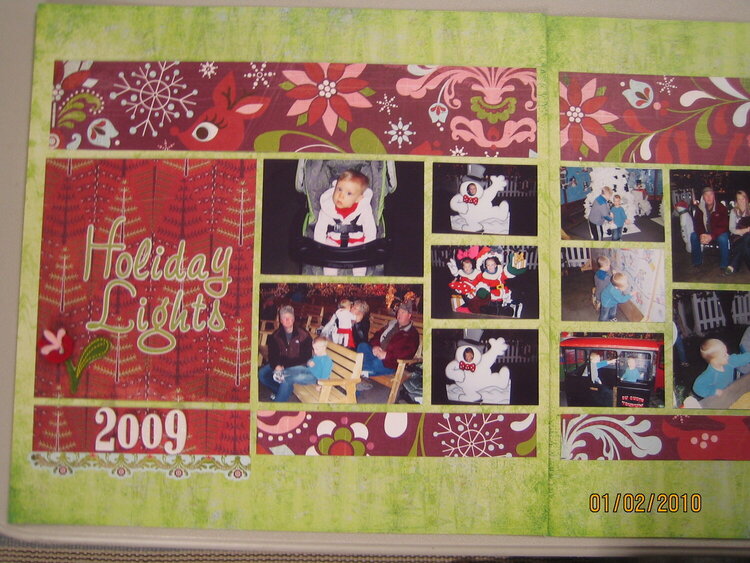 Holiday Lights 2009 (page 1)