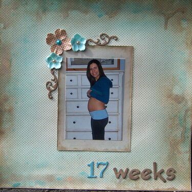 17 weeks