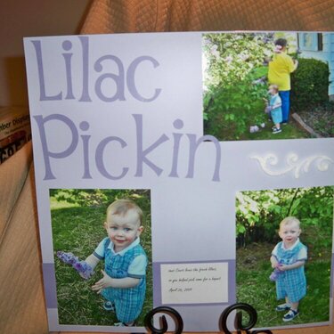 Lilac Pickin