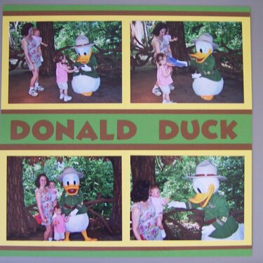 Animal Kingdom Camp Minnie-Mickey Greeting Trails : Donald Duck